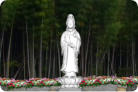 樹木葬